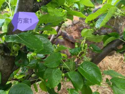 http://st-static1.hexicha.com/forums/2025/04/15/17446855953357.jpeg