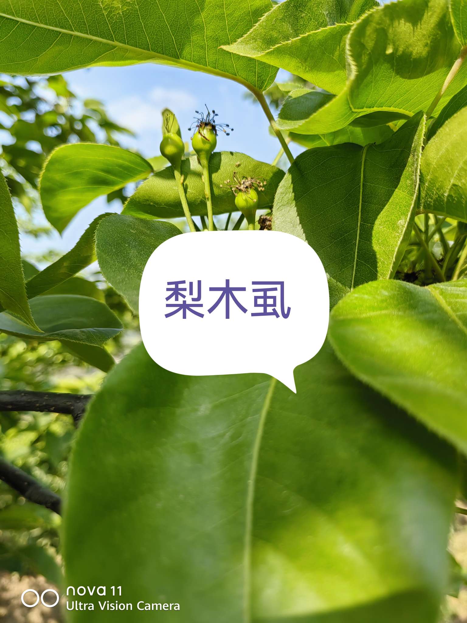 http://st-static1.hexicha.com/forums/2025/04/15/17447048754679.jpeg