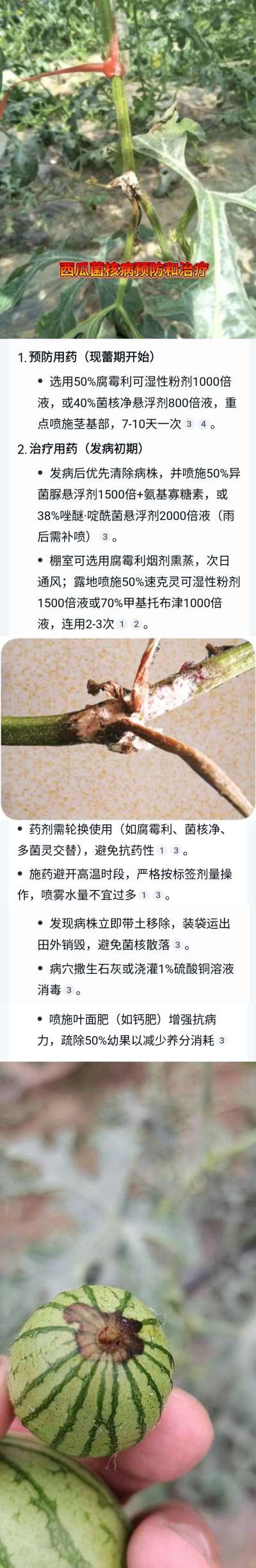 http://st-static1.hexicha.com/forums/2025/04/23/17453936646134.jpeg