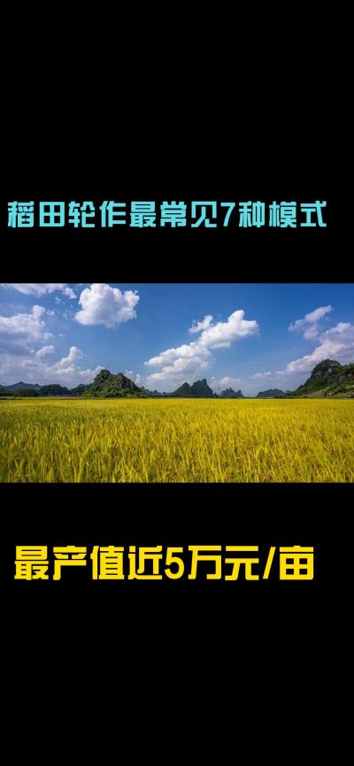&ldquo;一田多收，藏着农业增收的密码！今天带您1分钟看懂水稻轮作的致富密码