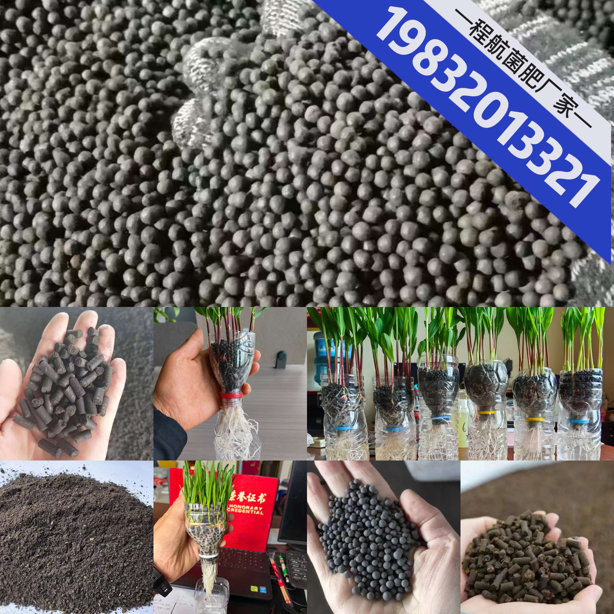 你知道有机肥和复合肥的区别吗？