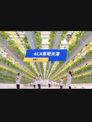 自由升降、追光生长。#ACA草莓天瀑，美爆了！向天再借500平！#ACA可控农业 #华维集团 #数字农业