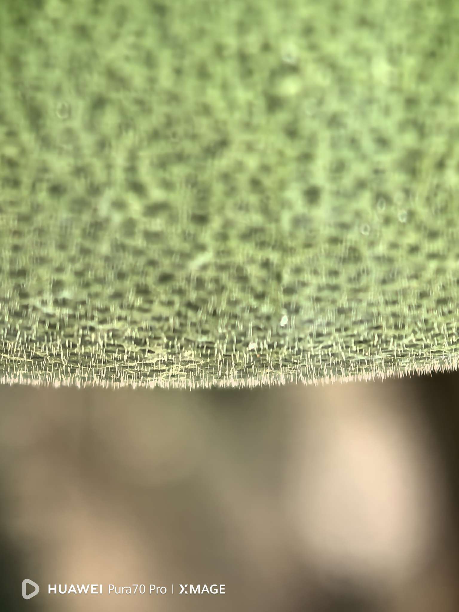 http://st-static1.hexicha.com/forums/2025/07/09/17520259272158.jpeg