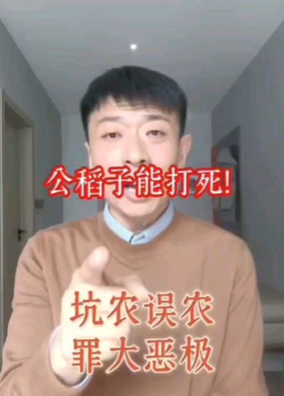 公稻子可以打死？纯属误农！