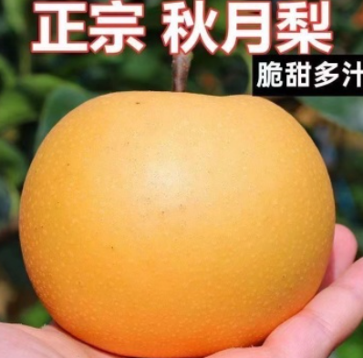 http://st-static1.hexicha.com/forums/2025/07/29/17537865122719.png