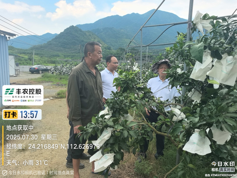 邓老师带队考察开发泰国红宝石基地。