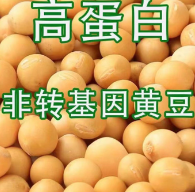http://st-static1.hexicha.com/forums/2025/08/06/17544750598565.png
