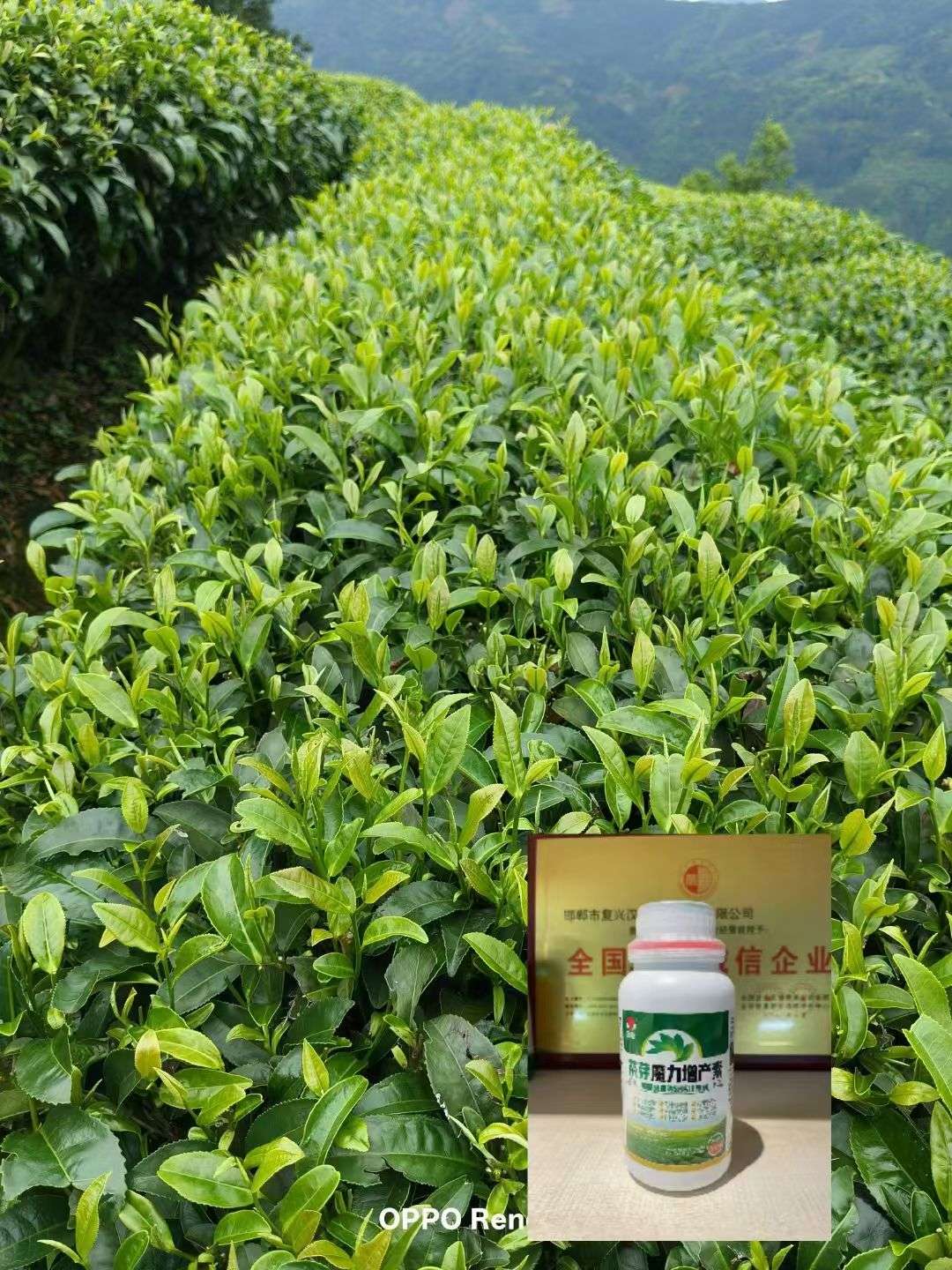 http://st-static1.hexicha.com/forums/2025/08/08/17546430363369.jpeg