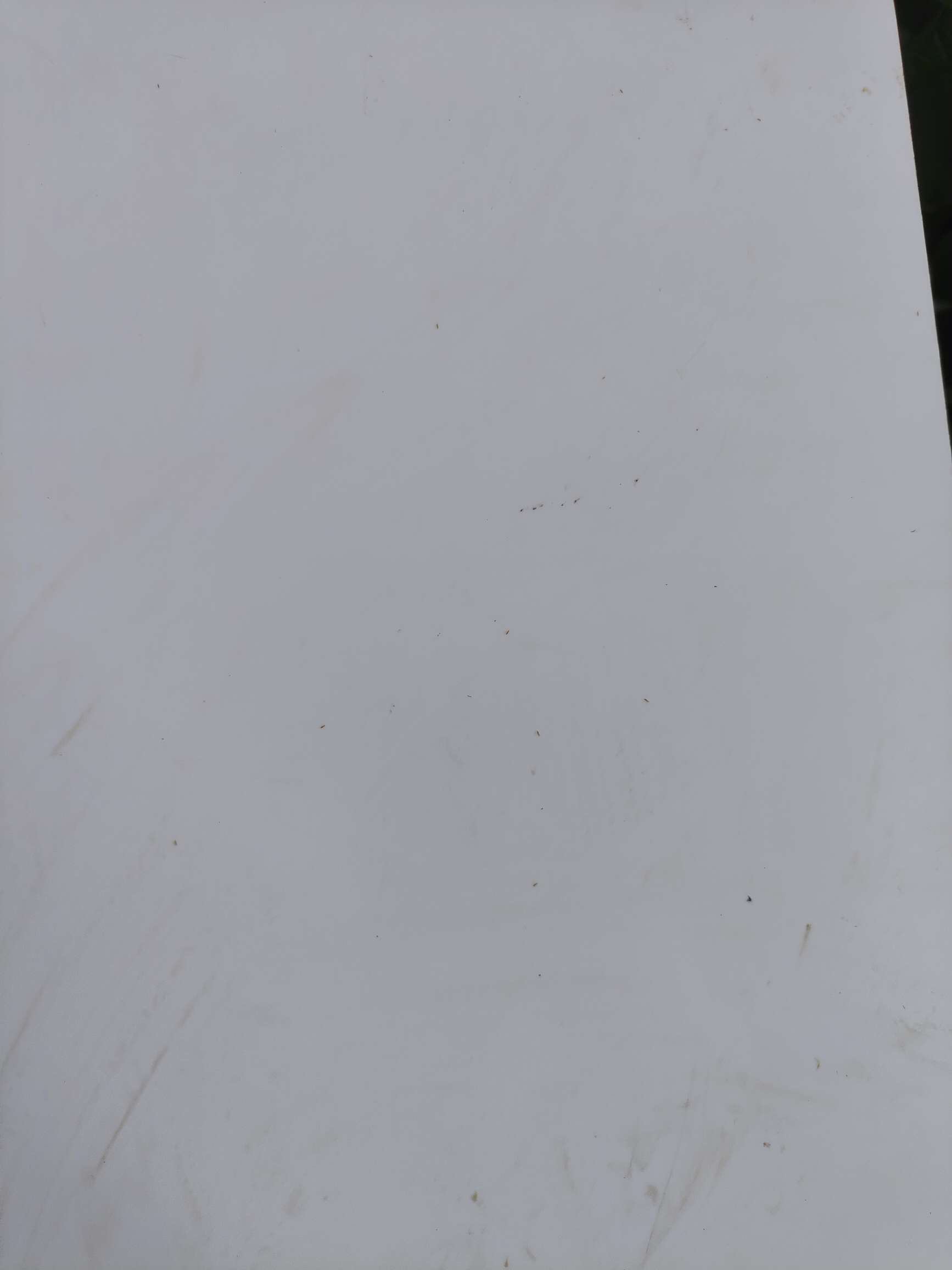 http://st-static1.hexicha.com/forums/2025/08/18/17555288245629.jpeg