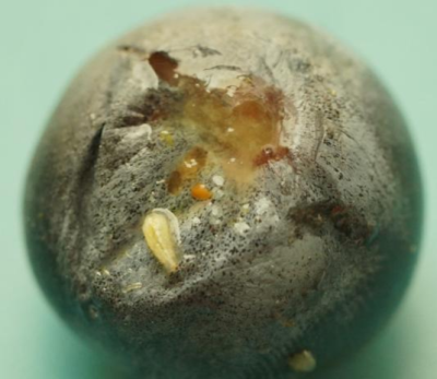 http://st-static1.hexicha.com/forums/2025/08/30/17565634166682.png