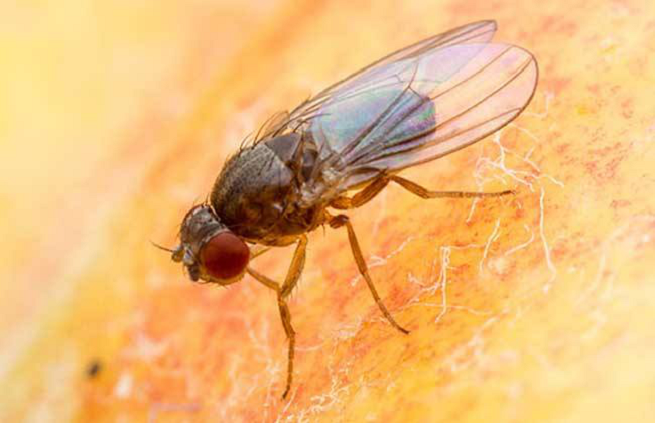http://st-static1.hexicha.com/forums/2025/08/30/17565634177962.png