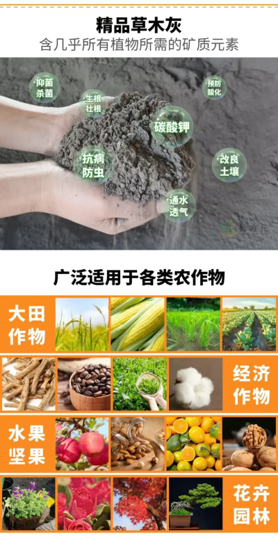 http://st-static1.hexicha.com/forums/2025/09/06/17571689923312.png