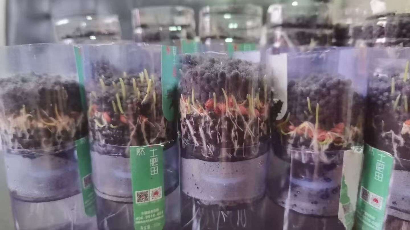 http://st-static1.hexicha.com/forums/2025/09/25/17587904341670.jpeg