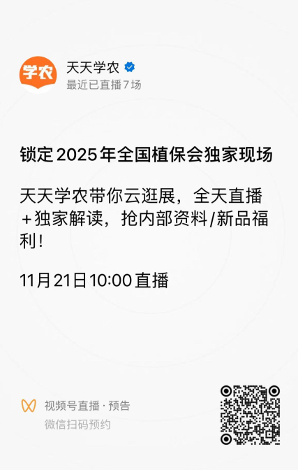 http://st-static1.hexicha.com/forums/2025/11/18/17634292668744.png
