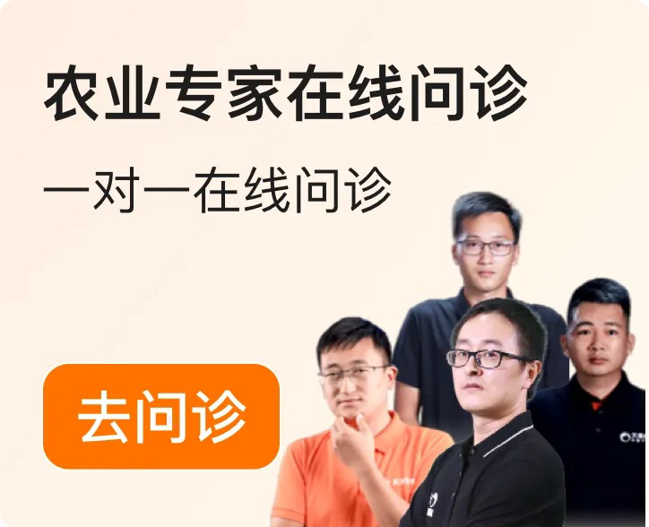 http://st-static1.hexicha.com/forums/2025/12/04/17648348949299.png