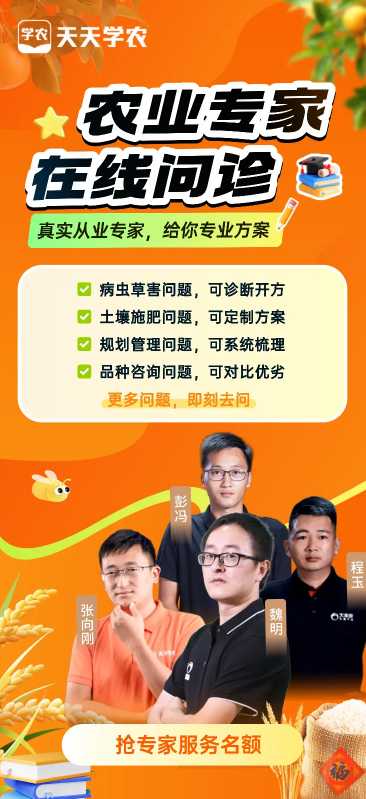 http://st-static1.hexicha.com/forums/2025/12/04/17648349249599.png