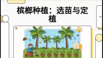 第01节：选苗与定植&mdash;&mdash;&ldquo;苗好一半收，底肥定千秋&rdquo;课程：《槟榔种植：从不懂到精通的10堂必修课》