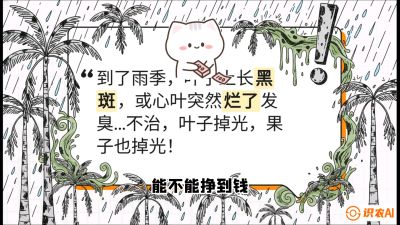 第05节：常见真菌病害&mdash;&mdash;&ldquo;炭疽与烂心，早防值千金&rdquo;《槟榔种植：从不懂到精通的10堂必修课》