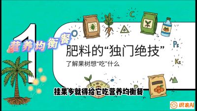 第07节：科学施肥&mdash;&mdash;&ldquo;氮磷钾配好，树壮果不倒