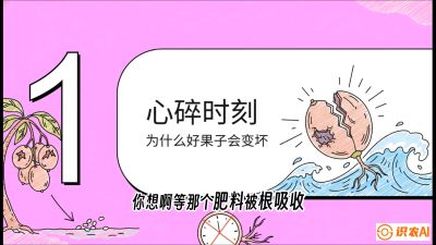 第08节：微量元素与保果&mdash;&mdash;&ldquo;补硼又补钙，果子不裂坏&rdquo;《槟榔种植：从不懂到精通的10堂必修课》