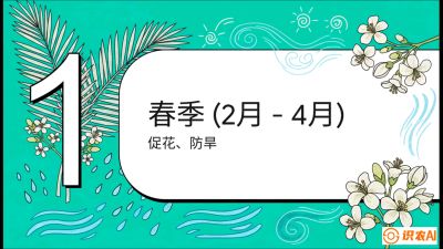第10节：周年农事日历&mdash;&mdash;&ldquo;跟着节气走，丰产在手头&rdquo;《槟榔种植：从不懂到精通的10堂必修课》