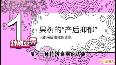 第2节：【冬肥策略】采后&ldquo;月子肥&rdquo;：大小年的精准干预术，课程：《柑橘底肥&ldquo;翻身账&rdquo;：从改土到高产的实战全书》