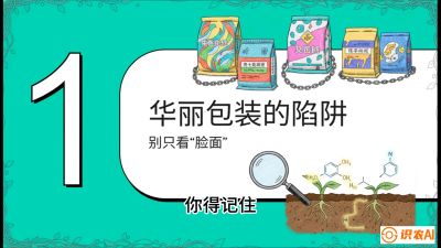 第4节：【黄金配方】底肥里的&ldquo;铁三角&rdquo;与&ldquo;微量雷区&rdquo;课程：《柑橘底肥&ldquo;翻身账&rdquo;：从改土到高产的实战全书》