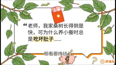 第01节：不仅仅是树&mdash;&mdash;顶级品种选配策略，课程：《桑海淘金：桑树高产与蚕桑安全进阶实战课》
