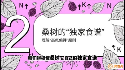 第04节：地下核动力&mdash;&mdash;桑树专用水肥一体化配方，课程：《桑海淘金：桑树高产与蚕桑安全进阶实战课》