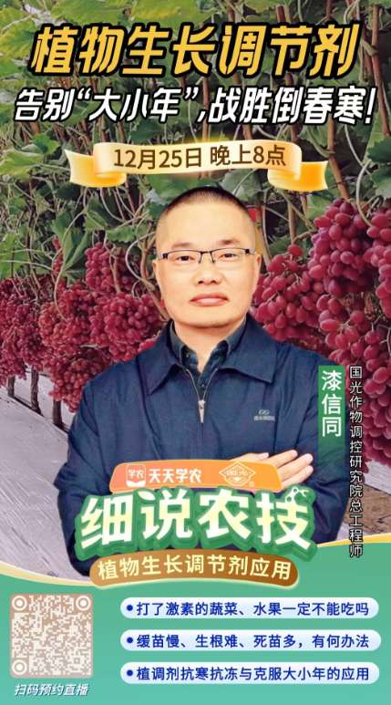 http://st-static1.hexicha.com/forums/2025/12/23/17664639985811.png