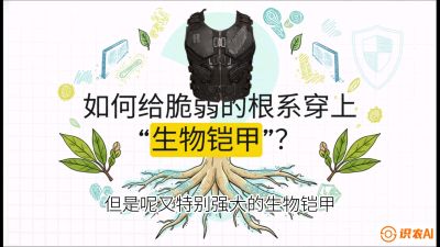 第三节：国产榴莲突围战：根系堡垒，菌根微生态构建与黄金定植窗口，课程：《国产榴莲突围战：从泰国经验到中国实操的8堂必修课（高阶实战版）》