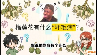 第六节：榴莲的午夜战事，夜间授粉战与花果期避雨策略，课程：《国产榴莲突围战：从泰国经验到中国实操的8堂必修课（高阶实战版）》