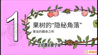第3节：无人机专治&ldquo;打不透&rdquo;&mdash;&mdash;果树与高杆作物的穿透技巧，课程：《无人机植保搞钱必修课：从&ldquo;瞎飞&rdquo;到&ldquo;懂行&rdquo;的6步进阶》