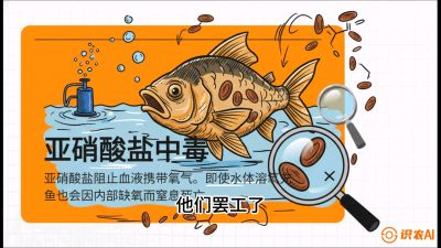 第二节：【水质内功】看不见的杀手：氨氮与亚硝酸盐的&ldquo;生死局&rdquo;，课程：《黄金鳞甲：2025中国淡水鱼高效养殖实战营》