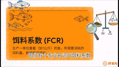 第五节：【高端单品&middot;鳜鱼】&ldquo;饲料鳜&rdquo;技术：打破吃活饵的高成本魔咒，课程：《黄金鳞甲：2025中国淡水鱼高效养殖实战营》
