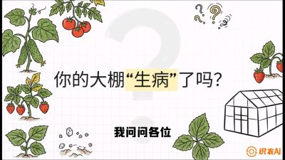 第2节（解毒篇）： 大棚里的&ldquo;红白绿&rdquo;警报&mdash;&mdash;读懂土壤盐渍化的求救信号，课程：《揭秘土壤的秘密：让土地帮你赚钱》#识农AI