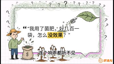 第4节（活化篇）： 土壤里的&ldquo;雇佣兵&rdquo;&mdash;&mdash;如何用菌剂以小博大，解决死棵难题，课程：《揭秘土壤的秘密：让土地帮你赚钱》#识农AI