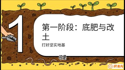 第6节（统筹篇）： 省钱又增产的&ldquo;黄金配比&rdquo;&mdash;&mdash;不同作物全年的养土实操方案，课程：《揭秘土壤的秘密：让土地帮你赚钱》#识农AI