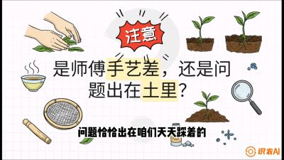 第02节（土肥篇）：告别&ldquo;苦涩水味&rdquo;：揭秘&ldquo;碳氮比&rdquo;调控术，种出自带兰花香的好茶底，课程：《茶金时代：从&ldquo;看天吃饭&rdquo;到&ldquo;精准控局&rdquo;的茶叶高产提质实战课》