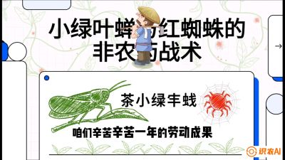 第03节（虫害篇）：看不见的吸血鬼：小绿叶蝉与红蜘蛛的&ldquo;非农药&rdquo;团灭战术（抗性治理），课程：《茶金时代：从&ldquo;看天吃饭&rdquo;到&ldquo;精准控局&rdquo;的茶叶高产提质实战课》