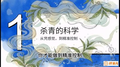 第05节（加工篇）：决胜2分钟：用&ldquo;数字温控&rdquo;破解杀青不匀，复刻大师级手工口感，课程：《茶金时代：从&ldquo;看天吃饭&rdquo;到&ldquo;精准控局&rdquo;的茶叶高产提质实战课》