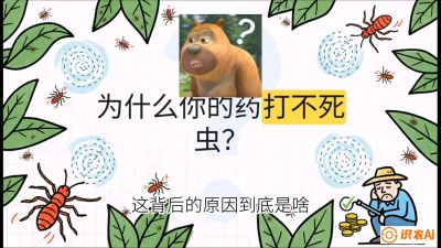 第4节：【虫害歼灭战】打不死的蓟马、隐形的茶黄螨：抗性时代的&ldquo;混配绝杀&rdquo;，课程：《辣椒种植实战特训营，从工业辣椒到精品小米辣，教你如何把&ldquo;草&rdquo;种成&ldquo;金&rdquo;》
