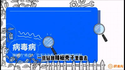 第5节：【病毒病阻击】辣椒的&ldquo;癌症&rdquo;怎么治？从&ldquo;绝收恐慌&rdquo;到&ldquo;带毒生产&rdquo;的逆转术，课程：《辣椒种植实战特训营，从工业辣椒到精品小米辣，教你如何把&ldquo;草&rdquo;种成&ldquo;金&rdquo;》