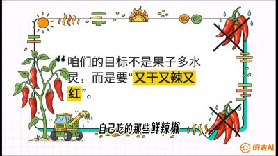 第7节：【工业辣椒专场】追求极致辣度！干物质提升与机械化采收的&ldquo;催红秘籍&rdquo;，课程：《辣椒种植实战特训营，从工业辣椒到精品小米辣，教你如何把&ldquo;草&rdquo;种成&ldquo;金&rdquo;》