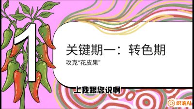 第8节：【小米辣线椒专场】颜值即正义！防花皮、防炭疽，打造收购商抢着要的&ldquo;精品果&rdquo;，课程：《辣椒种植实战特训营，从工业辣椒到精品小米辣，教你如何把&ldquo;草&rdquo;种成&ldquo;金&rdquo;》