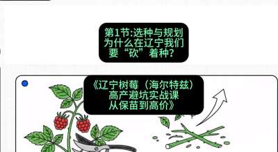 第一节： 选种与规划&mdash;&mdash;为什么在辽宁我们要&ldquo;砍&rdquo;着种？，课程：《辽宁树莓（海尔特兹）高产避坑实战课：从保苗到高价》