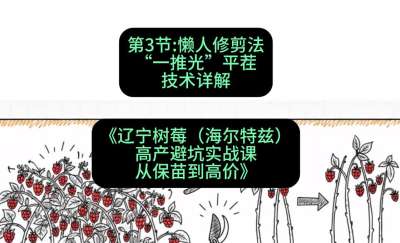 第三节： 懒人修剪法&mdash;&mdash;&ldquo;一推光&rdquo;平茬技术详解，课程：《辽宁树莓（海尔特兹）高产避坑实战课：从保苗到高价》