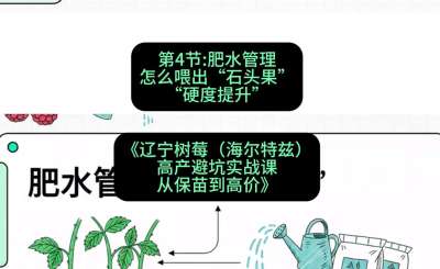 第四节： 肥水管理&mdash;&mdash;怎么喂出&ldquo;石头果&rdquo;（硬度提升），课程：《辽宁树莓（海尔特兹）高产避坑实战课：从保苗到高价》