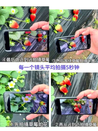 http://st-static1.hexicha.com/forums/2026/01/24/17692156443983.jpeg