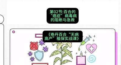 第02节：百合的&ldquo;癌症&rdquo;&mdash;&mdash;病毒病的阻断与急救，课程：《卷丹百合&ldquo;无病高产&rdquo;植保实战课》#识农AI